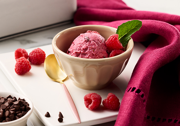 Berry Chocolate Chip Frozen Yogurt