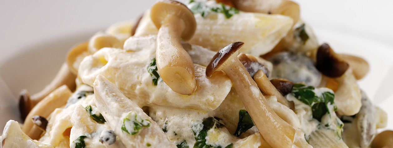 FAGE Total's Penne With Wild Mushrooms